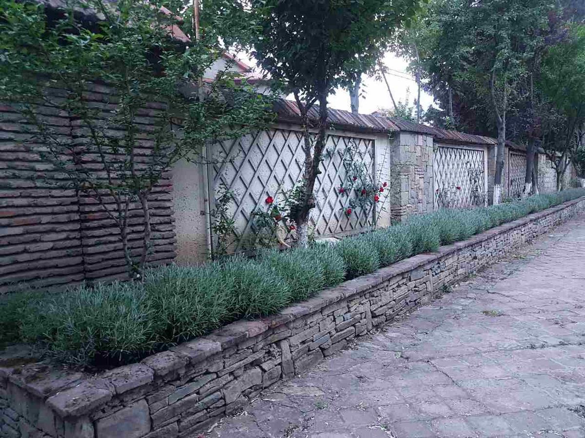 Rare House With Garden Βίλα Τυφλίδα Εξωτερικό φωτογραφία
